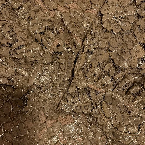 Talbots gold lace top, XL, NWT - Picture 5 of 12